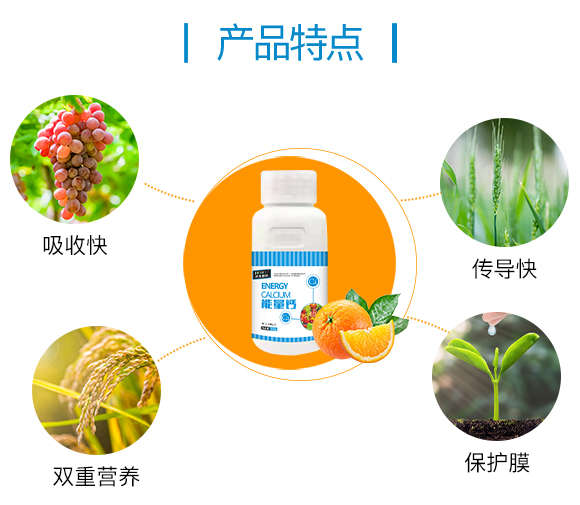 鍖楃編鍐滃ぇ闆嗗洟(1006845)_03.jpg 鍖楃編鍐滃ぇ闆嗗洟(1006845)_03.jpg