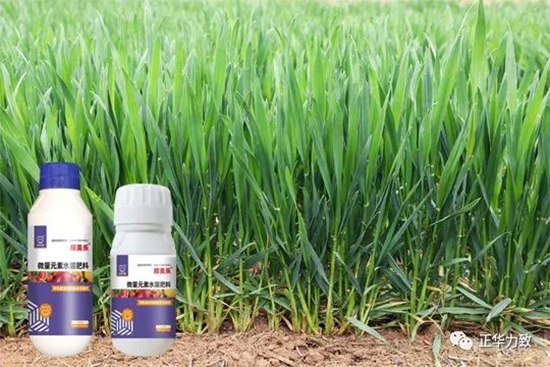 鏈爣棰?2.jpg 鏈爣棰?2.jpg