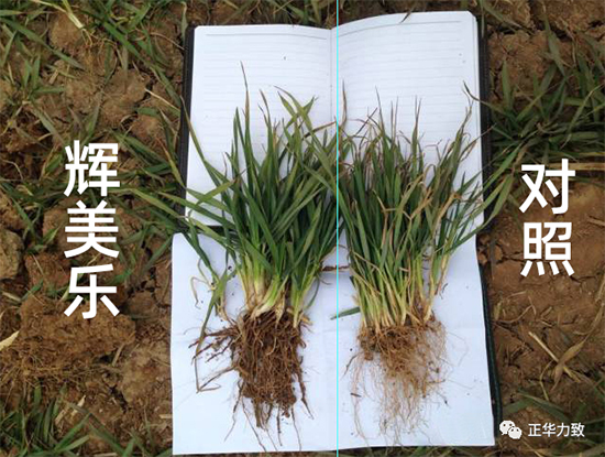 鏈爣棰?7.jpg 鏈爣棰?7.jpg