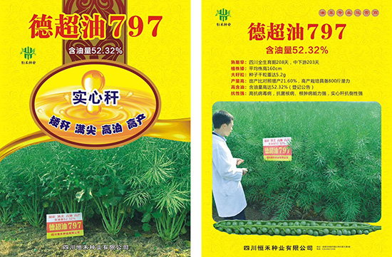 娌硅彍縐嶅瓙-寰瘋秴娌?97-鎭掔縐嶄笟2.jpg 娌硅彍縐嶅瓙-寰瘋秴娌?97-鎭掔縐嶄笟2.jpg