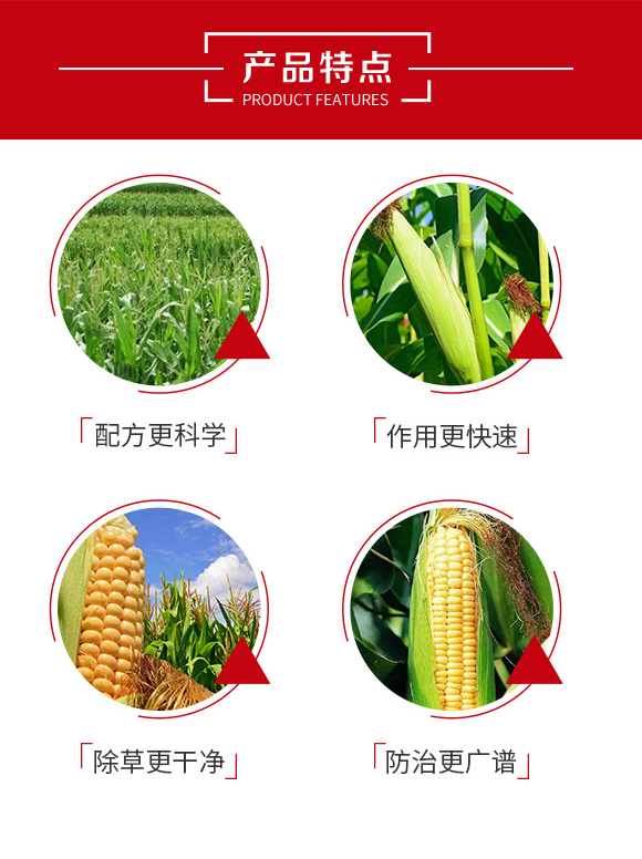 30%硝煙·莠去津-鄭州鼎來瑞-農資_03.jpg 30%硝煙·莠去津-鄭州鼎來瑞-農資_03.jpg