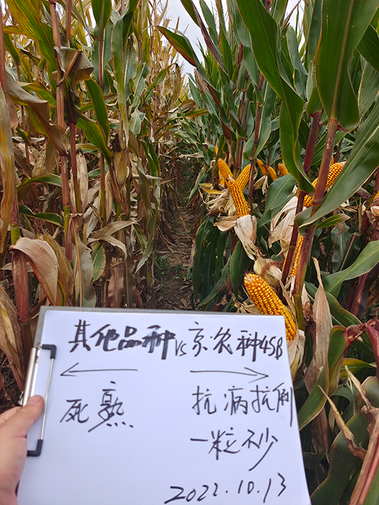 1a06e591a97d119364dcac4a02370780_.jpg 1a06e591a97d119364dcac4a02370780_.jpg