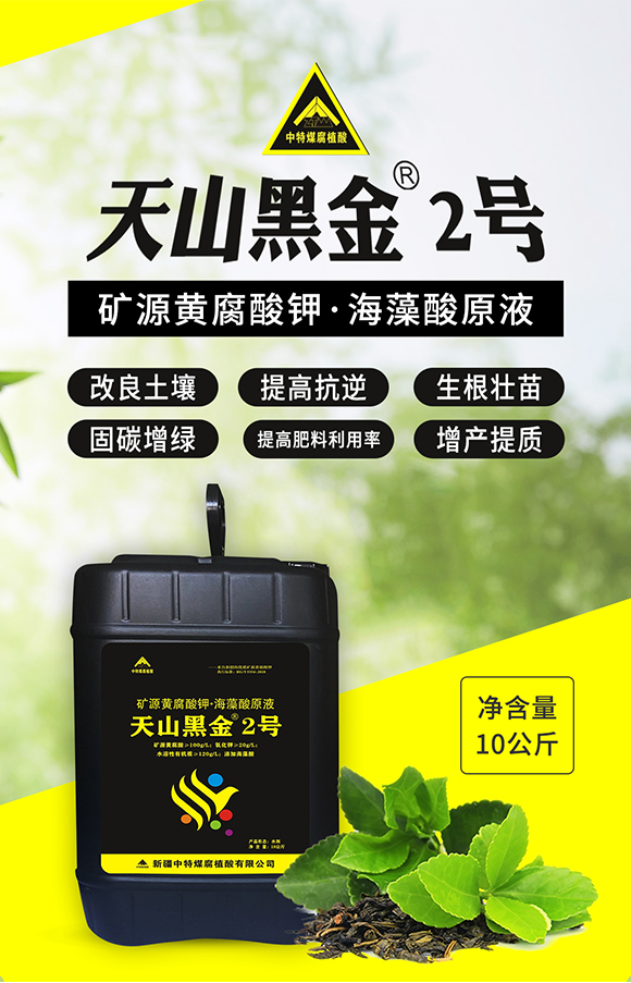 鏂扮枂涓壒鐓よ厫妞嶉吀鏈夐檺鍏徃_01.jpg 鏂扮枂涓壒鐓よ厫妞嶉吀鏈夐檺鍏徃_01.jpg