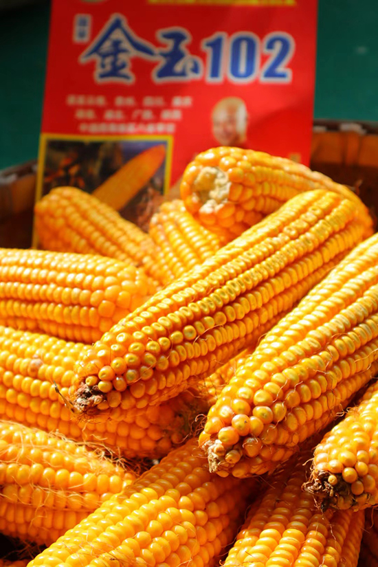 閲戠帀1021.jpg 閲戠帀1021.jpg