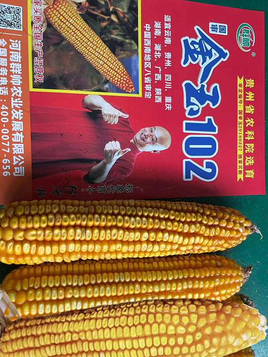 閲戠帀1022.jpg 閲戠帀1022.jpg