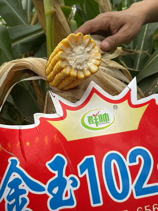 閲戠帀1025.jpg 閲戠帀1025.jpg