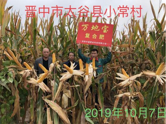 鏈爣棰?3.jpg 鏈爣棰?3.jpg