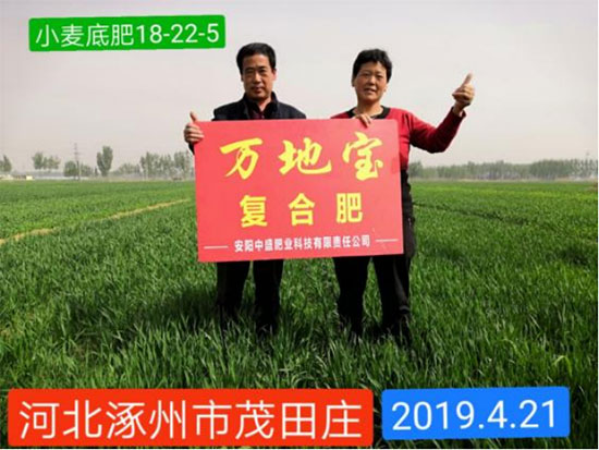 鏈爣棰?4.jpg 鏈爣棰?4.jpg