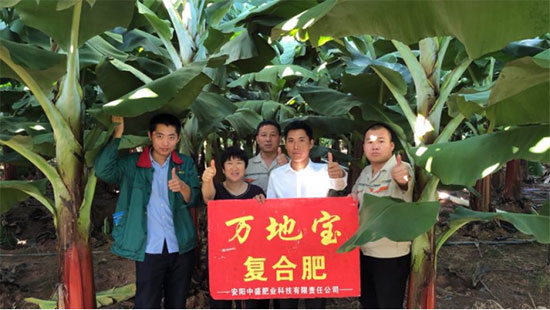 鏈爣棰?3.jpg 鏈爣棰?3.jpg