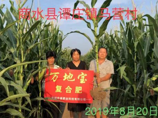 鏈爣棰?4.jpg 鏈爣棰?4.jpg