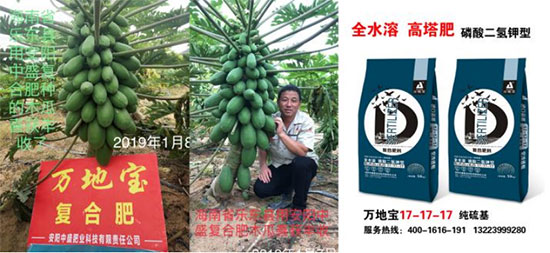 鏈爣棰?5.jpg 鏈爣棰?5.jpg