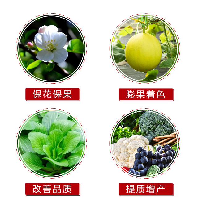 宸ц拷-涓鍖栧伐_05.jpg 宸ц拷-涓鍖栧伐_05.jpg