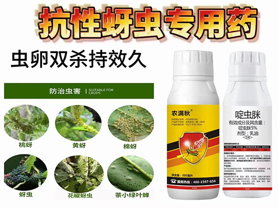 寰俊鍥劇墖_20240403175939.jpg 寰俊鍥劇墖_20240403175939.jpg