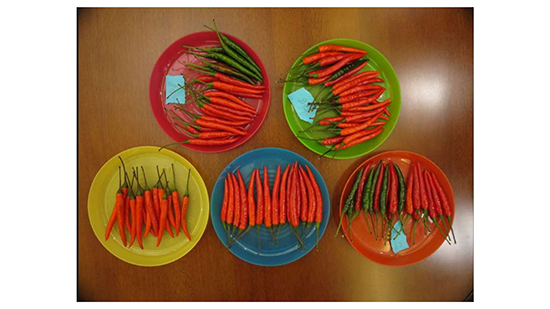 鍖椾含鏄ュゥ-澶╃孩錛圢O.9錛夋湞澶╂鍝佺綆€浠?1)_08.jpg 鍖椾含鏄ュゥ-澶╃孩錛圢O.9錛夋湞澶╂鍝佺綆€浠?1)_08.jpg