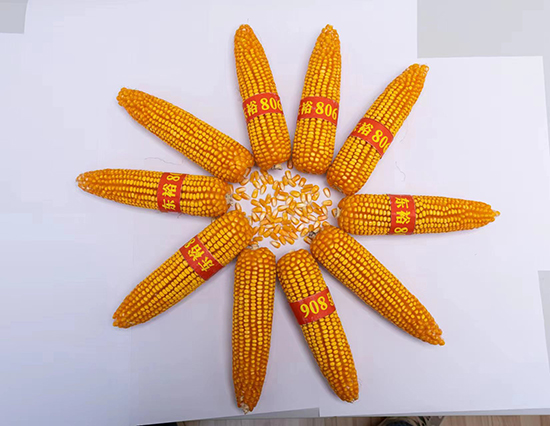 4f32e99f20c3ef604bb35c3242e1acb9_.jpg 4f32e99f20c3ef604bb35c3242e1acb9_.jpg