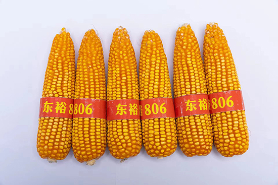 9dbc8bee24ee937ce303ceafd981bf56_.jpg 9dbc8bee24ee937ce303ceafd981bf56_.jpg