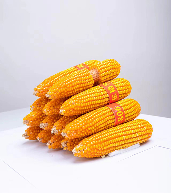 258f4935a5f91b652db6a0b297728e01_.jpg 258f4935a5f91b652db6a0b297728e01_.jpg