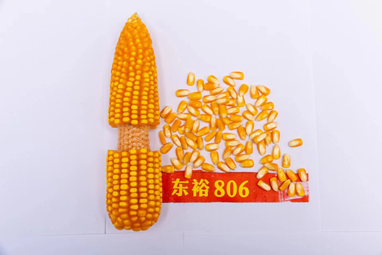 3089f096047a24e70f814d6f28c44d5d_.jpg 3089f096047a24e70f814d6f28c44d5d_.jpg