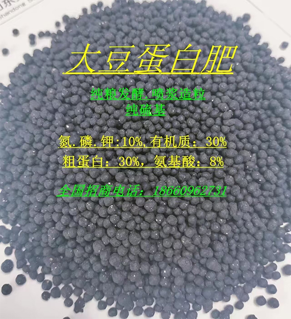 鏈爣棰?1.jpg 鏈爣棰?1.jpg