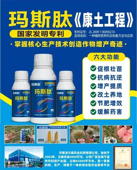 鏈爣棰?1.jpg 鏈爣棰?1.jpg