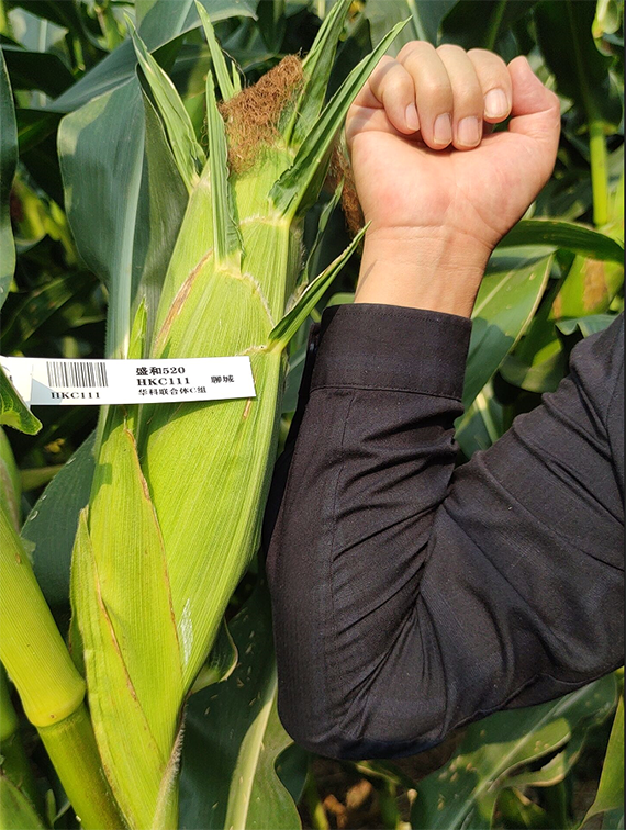 寰俊鍥劇墖_20241113141730.png 寰俊鍥劇墖_20241113141730.png