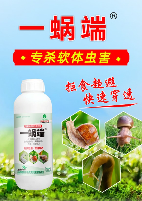 涓€铚楃錛堝杞綋鍔ㄧ墿浣滅敤鐗瑰紓錛?寰峰▉鏈崏_01.jpg 涓€铚楃錛堝杞綋鍔ㄧ墿浣滅敤鐗瑰紓錛?寰峰▉鏈崏_01.jpg