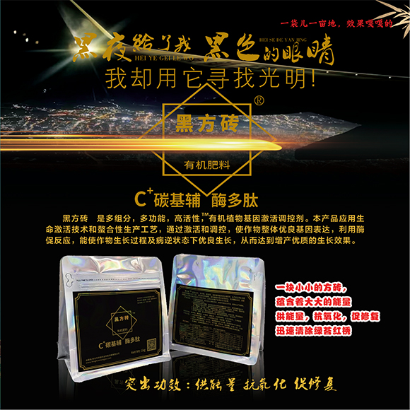 涓扮敯鐢誨唽20250419a_04.jpg 涓扮敯鐢誨唽20250419a_04.jpg