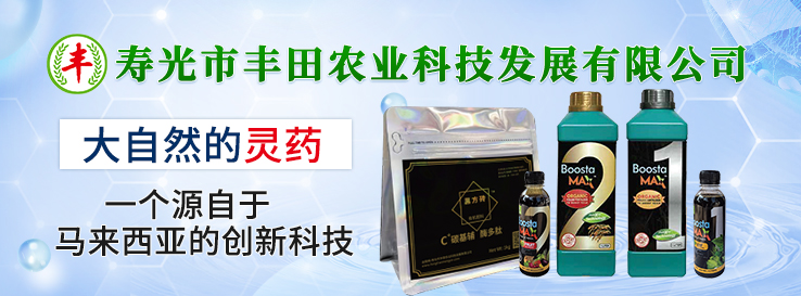 ۹Sr(nng)I(y)Ƽl(f)չ޹˾