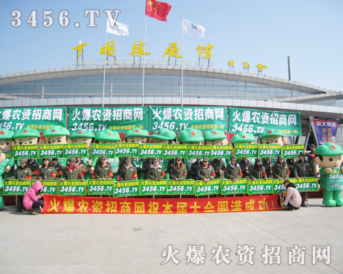 ڰˌúʝr(nng)(hu)r(nng)Y̾W(wng)ի@HS