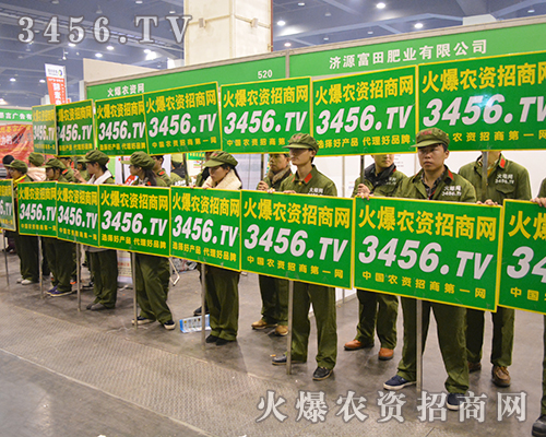 3456.TV用實力樹立火爆網(wǎng)形象