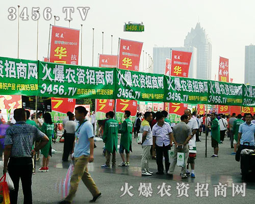 r(nng)Y̾W(wng)𺳳ϯ2016ϷNӕ(hu)