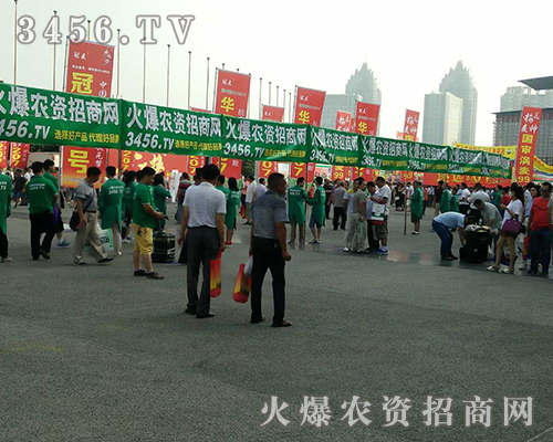 rY̾W(wng)2016ļNӕL