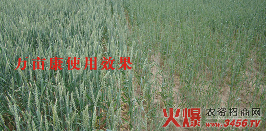 鄭州萬(wàn)畝康生物科技有限公司