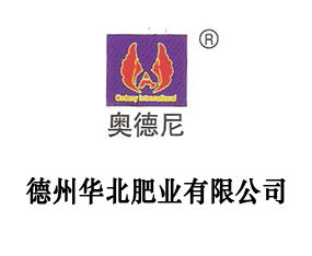 AʘI(y)޹˾2015IN-2015ڶʮһùINI(y)[