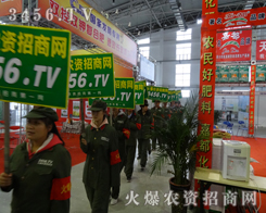 r(nng)Y̾W(wng)F(tun)(du)絽6Ö|ʡNӕ(hu)һ(g)x_