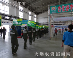 r(nng)Y̾W(wng)2013|ϕ(hu)^һ(g)չʾęC(j)(hu)