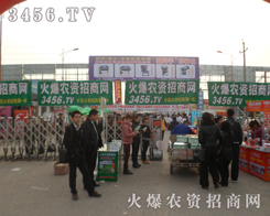 r(nng)Y̵ľGɫ܊F(tun)(du)(li)fr(nng)Y(hu)