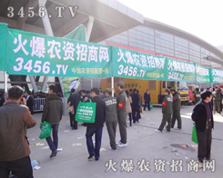 r(nng)Y̾W(wng)ĈF(tun)꠰յx̤˳MϣĴ