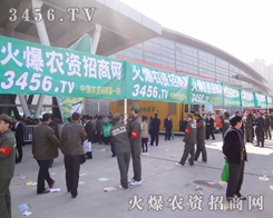 r(nng)Y̾W(wng)F(tun)ꠣß\ӿ͑