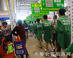 (w)(d)I(lng)L(fng)}