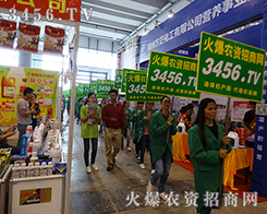 r(nng)YW(wng)ԌAÅչ̂ٝP