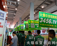 𱬾W(wng)Fչ(zhn)Գ־Ǆ