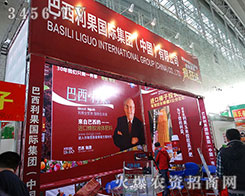 HF(tun)޹˾2015IN(hu)-2015ڶʮһùINI(y)[(hu)