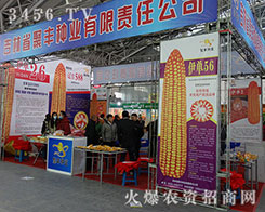 ʡSNI(y)؟(z)ι˾2015IN(hu)-2015ڶʮһùINI(y)[(hu)