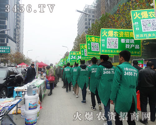 r(nng)Y̾W(wng)2015ֲϷv