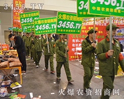 r(nng)Y̾W(wng)̎̎@L