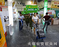 3456.TVһֱ·ͣЪ ل(chung)x