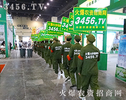 3456.TVٴγ(zhn)ݷNӕ(hu)չʾr(nng)Y˵ľò