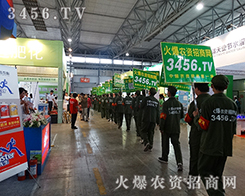 rY̾W(wng)ɐ۵đ(zhn)ʿչ߱ÿһĵط