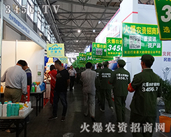 rY̾W(wng)F꠪q֦~ïĴ